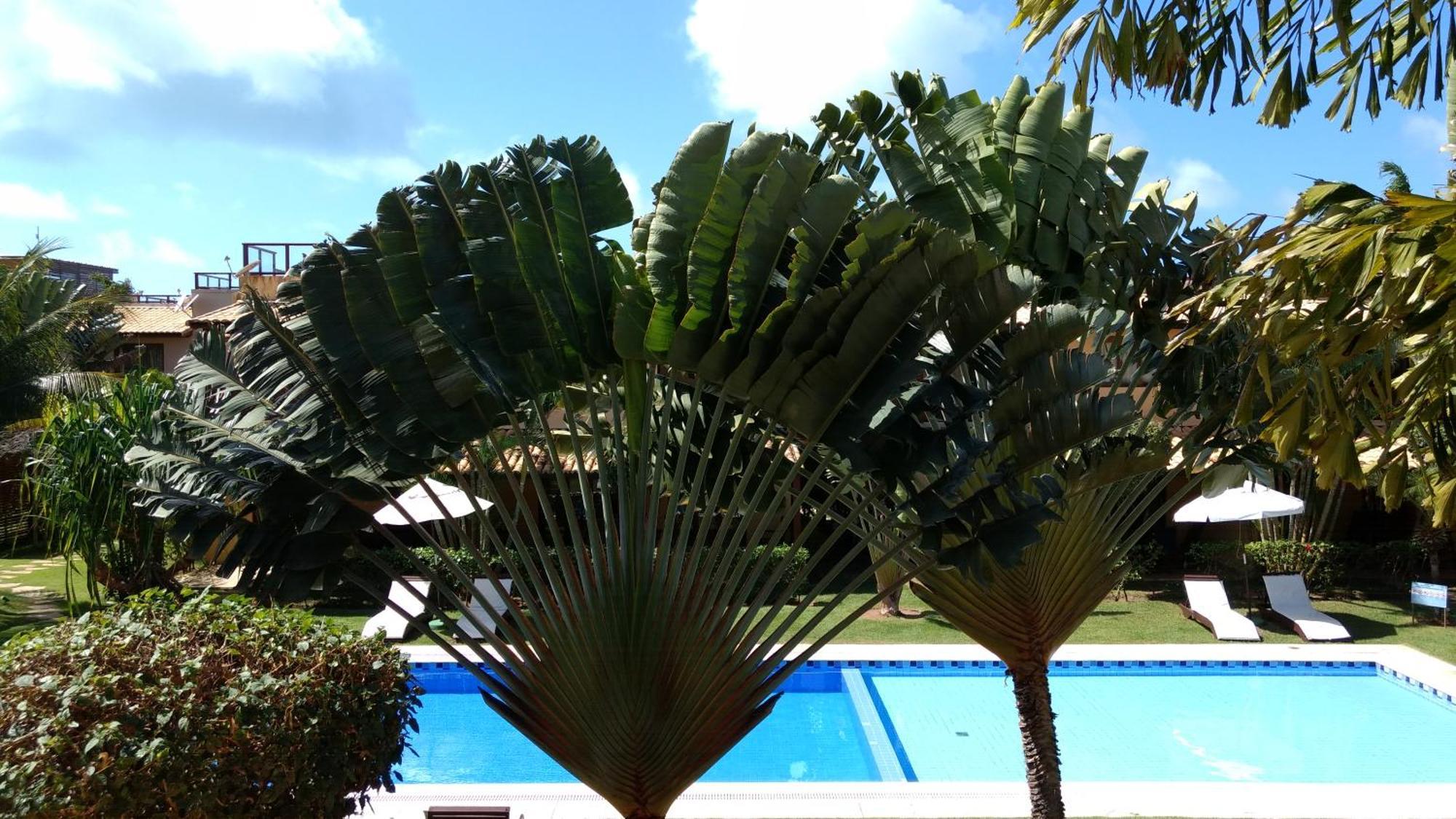 Unidades Triplex No Pipa Beleza * Praia de Pipa